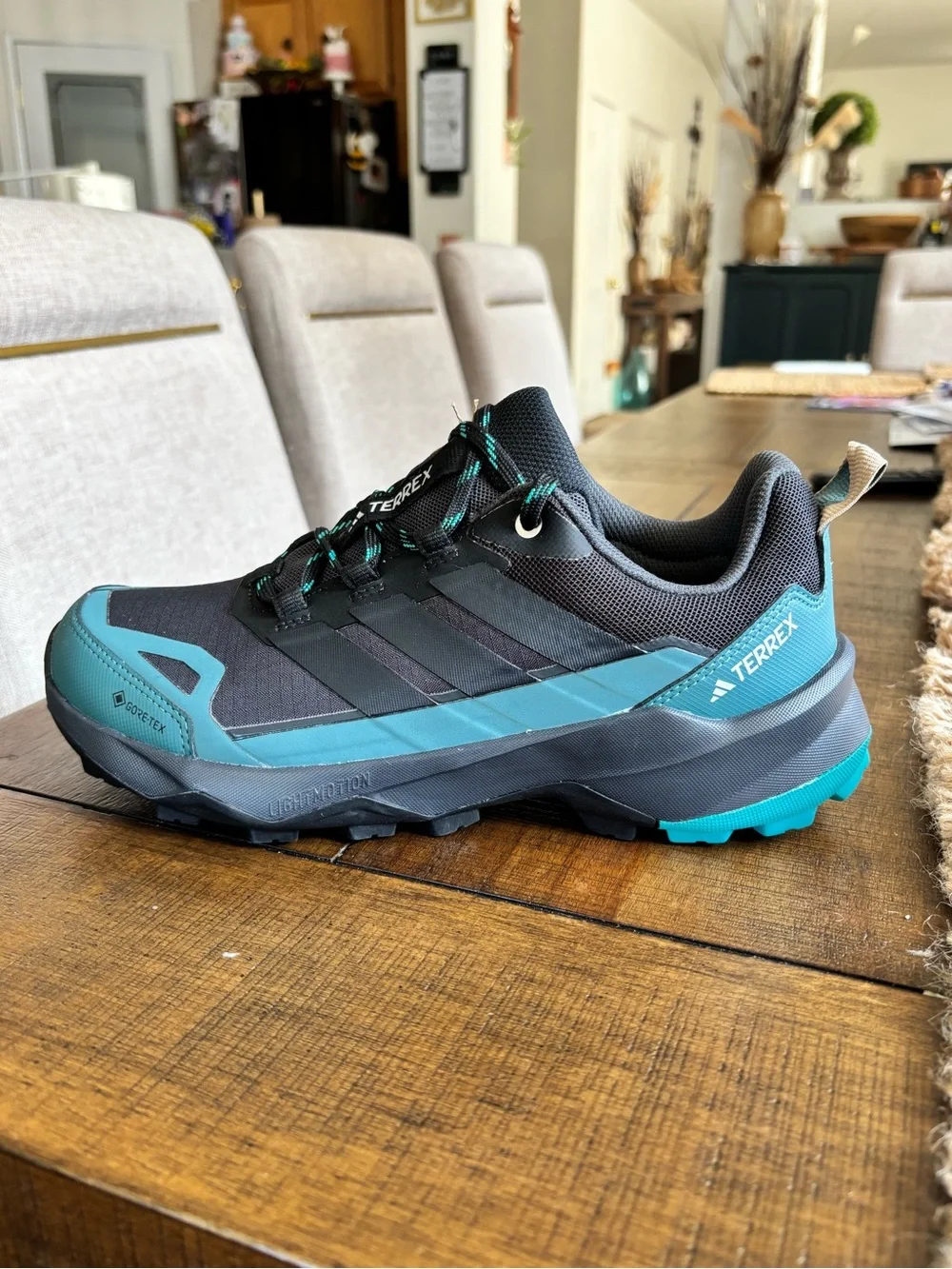 Size 7.5 Men Adidas Terrex Skychaser AX GORE-TEX® hiking shoes New JQ2209